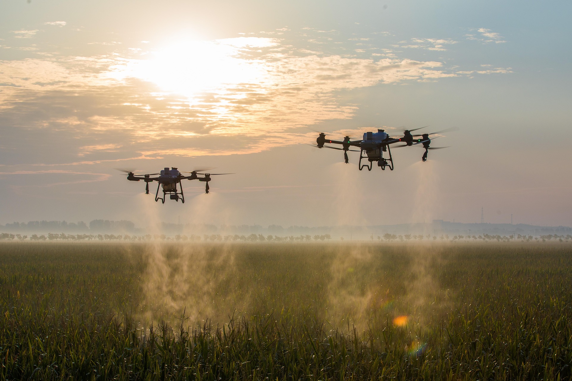 Field drones monitoring agricultural land